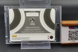 九州体育-篮网新秀光芒四射，被誉为未来之星的简单介绍