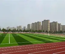 关于共赴重重难关：巴黎圣日耳曼客战蒙彼利埃拼战冠军的信息